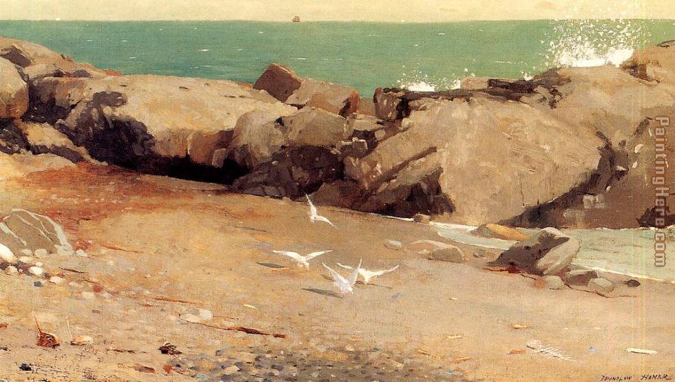 Rocky Coast and Gulls painting - Winslow Homer Rocky Coast and Gulls art painting
